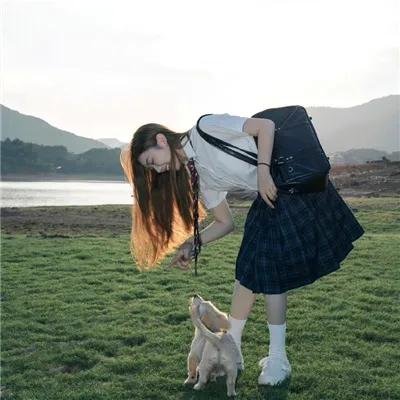 情谜郁金香